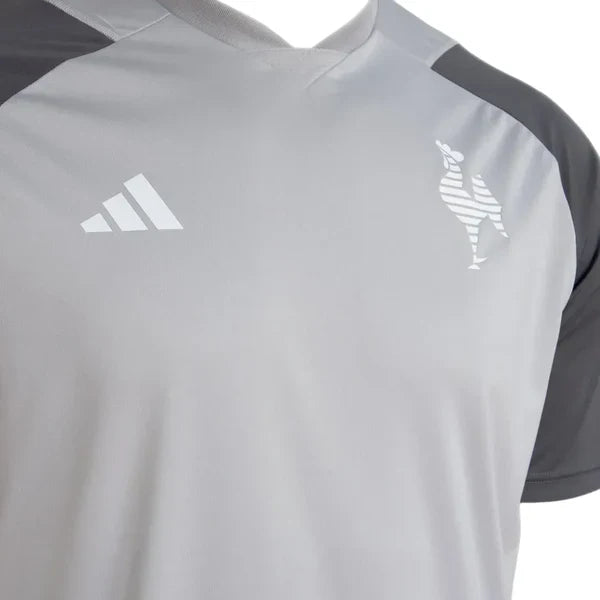 Camisa Atlético Mineiro Treino 24/25 - Cinza